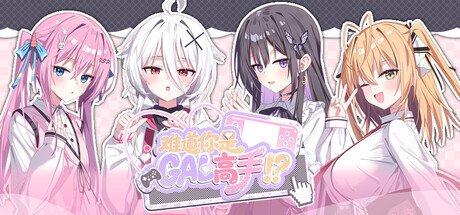 Обложка Could You Be a Gal Master?